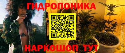 прущие грибы Гатчина