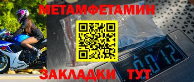 прущие грибы Гатчина