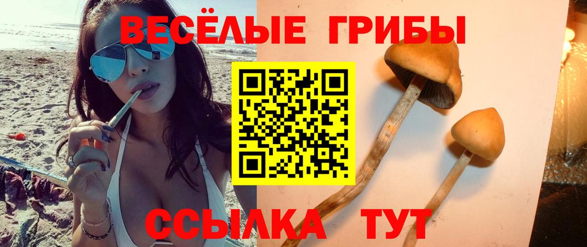 Галлюциногенные грибы мухоморы  Галлюциногенные грибы Magic Shrooms  Кольчугино  Вход с VPN 
