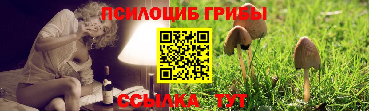 Галлюциногенные грибы ЛСД Кольчугино